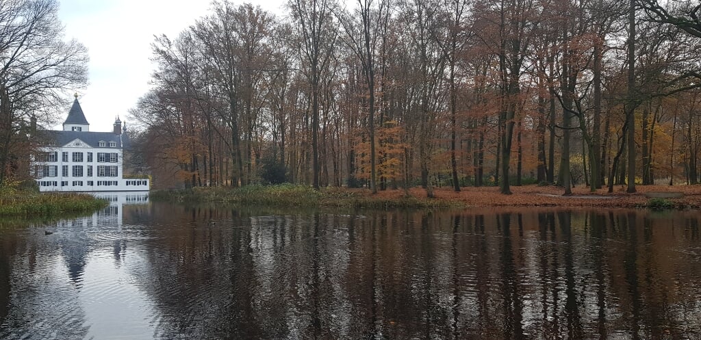 Om de eenden in de grote vijver achter Kasteel Renswoude te zien kan een verrekijker handig zijn.