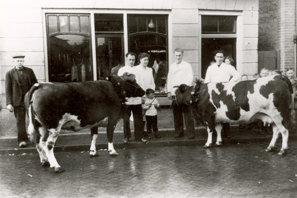 Het personeel van slagerij Wijngaards poseert met twee ‘paaskoeien’ voor de slagerij. Van links naar rechts: slagersknecht Ad Rusink, Hendrika de Jonge-Wijngaards, Hans de Jonge, slager Nic Wijngaards jr en in de deuropening Jannie Schuurman.