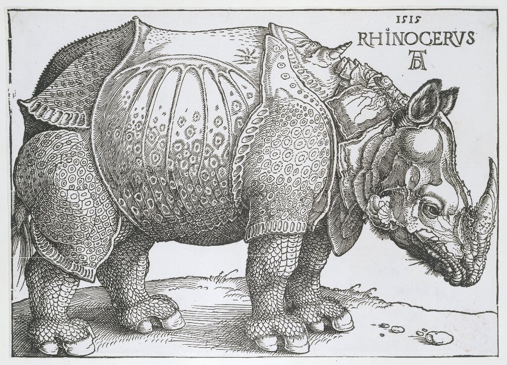Albrecht Dürer, Rhinocerus, houtsnede, 1515