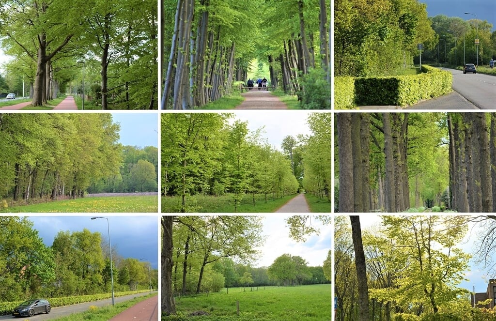 Barneveld wordt groener en groener. Fotograaf Gerwin van Luttikhuizen maakte er een collage van.