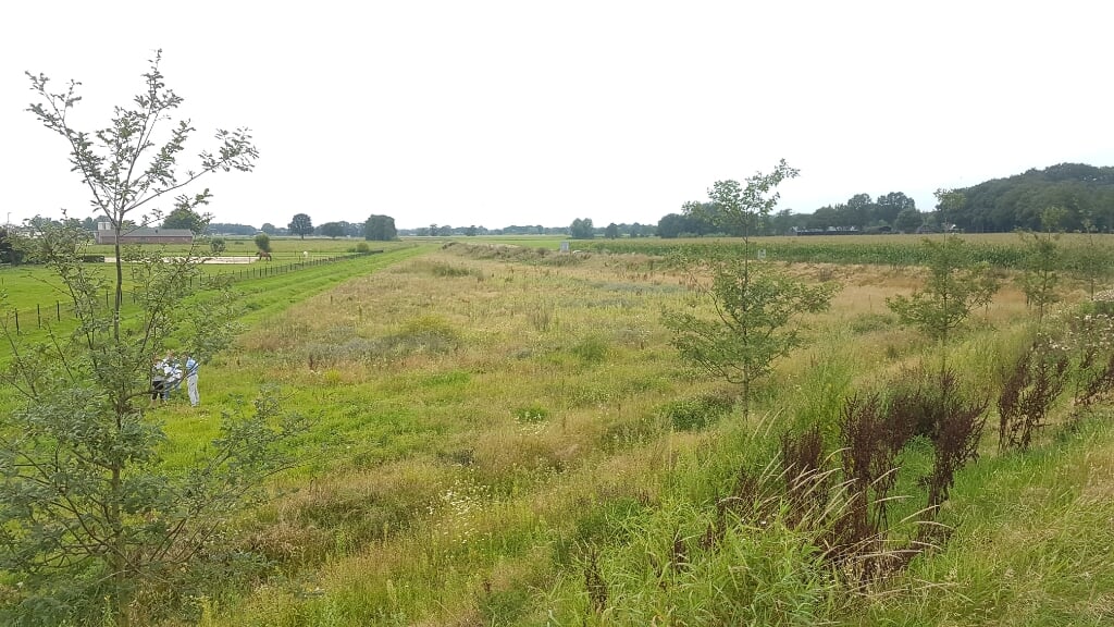 Het beoogde terrein voor de dorpsmoestuin, langs de Voortse Ring.