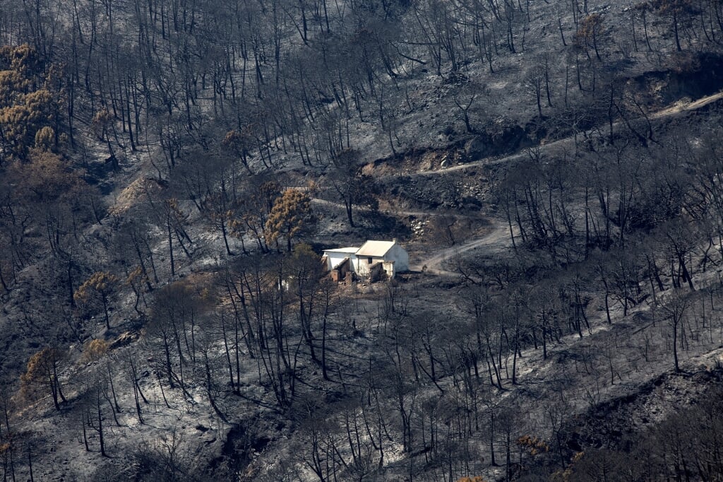 2021-09-11 13:02:15 epaselect epa09461081 A house stands in the middle of an area devastated by the forest fire in Sierra Bermeja, Malaga, Spain, 11 September 2021. The fire has burned almost 4,000 hectares of Estepona municipality, forcing the eviction of more than 1,000 residents due to the proximity of the flames to their homes.  EPA/Daniel Perez