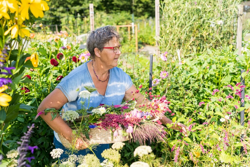 Plukgeluk met heel veel bloemen