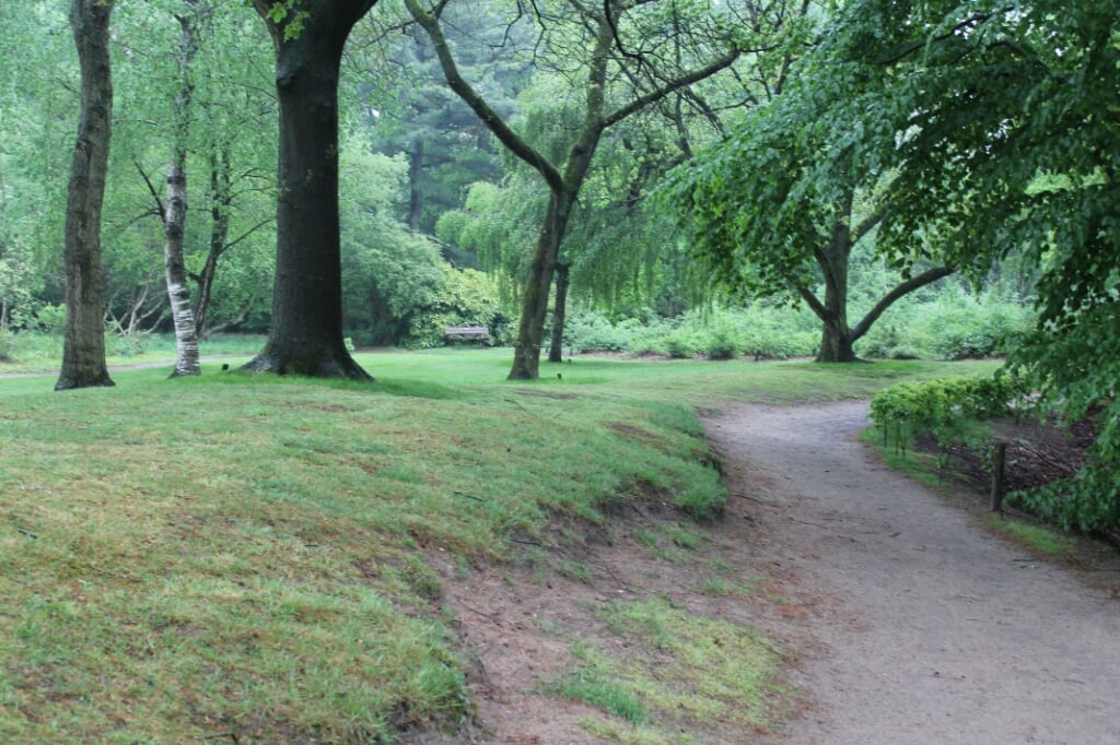 Arboretum Wageningse Berg