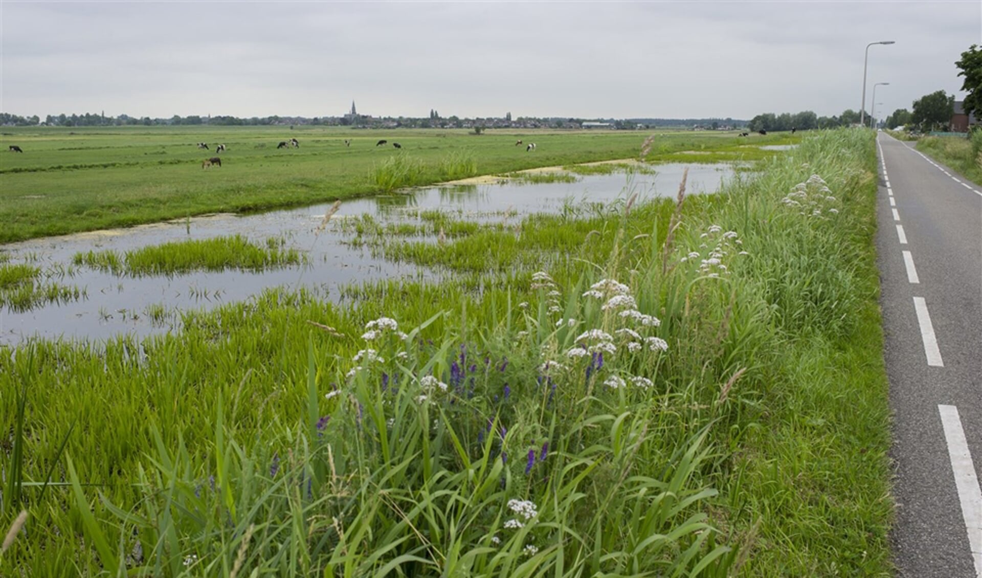 Zuid-Holland heeft met bodemdaling te maken, ook in Nieuwerkerk. Hier ligt het laagste punt (bijna zeven meter onder NAP) van Nederland.