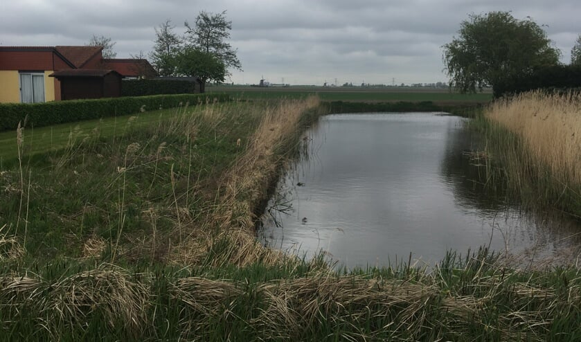 <p>De toekomst van recreatiepark de Koornmolen is onderwerp van gesprek.</p>