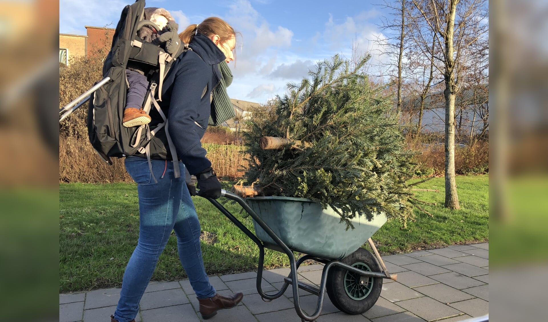 Een moeder in Zevenhuizen heeft een slimme oplossing gevonden voor het vervoer van kerstbomen naar de parkeerplaats bij dorpshuis Swanla.