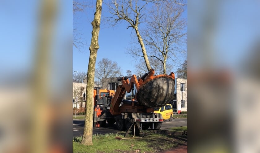 (foto:archief Hart van Holland)