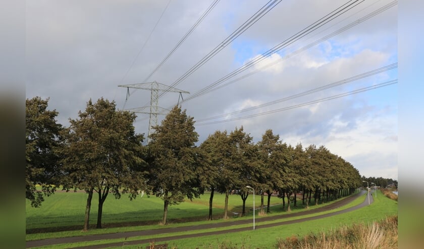 Alleen de bomen die een gevaar opleveren worden gekapt; het zijn er veertien. (foto: Recreatieschap Rottemeren)