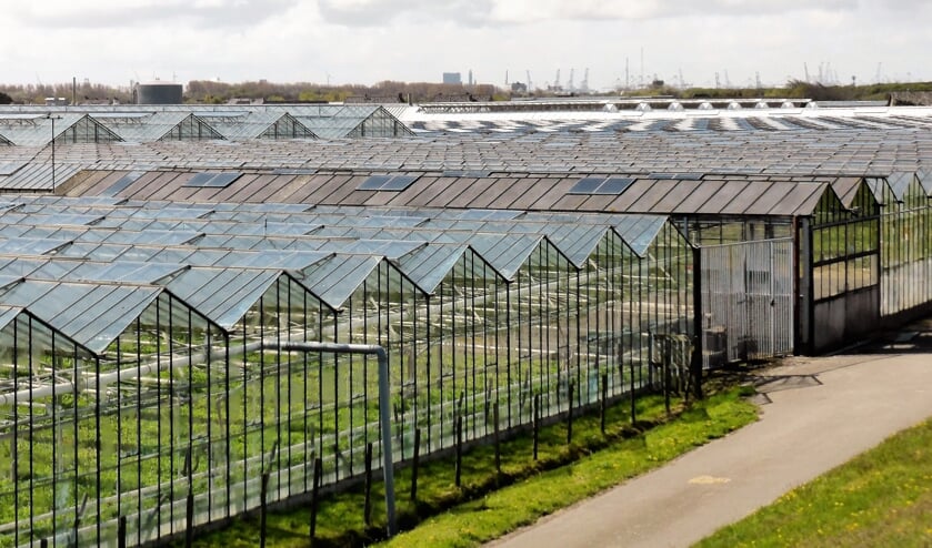 Ongeveer 80 procent van de warmtevraag in gemeente Zuidplas komt van de glastuinbouw. (foto: Pixabay)