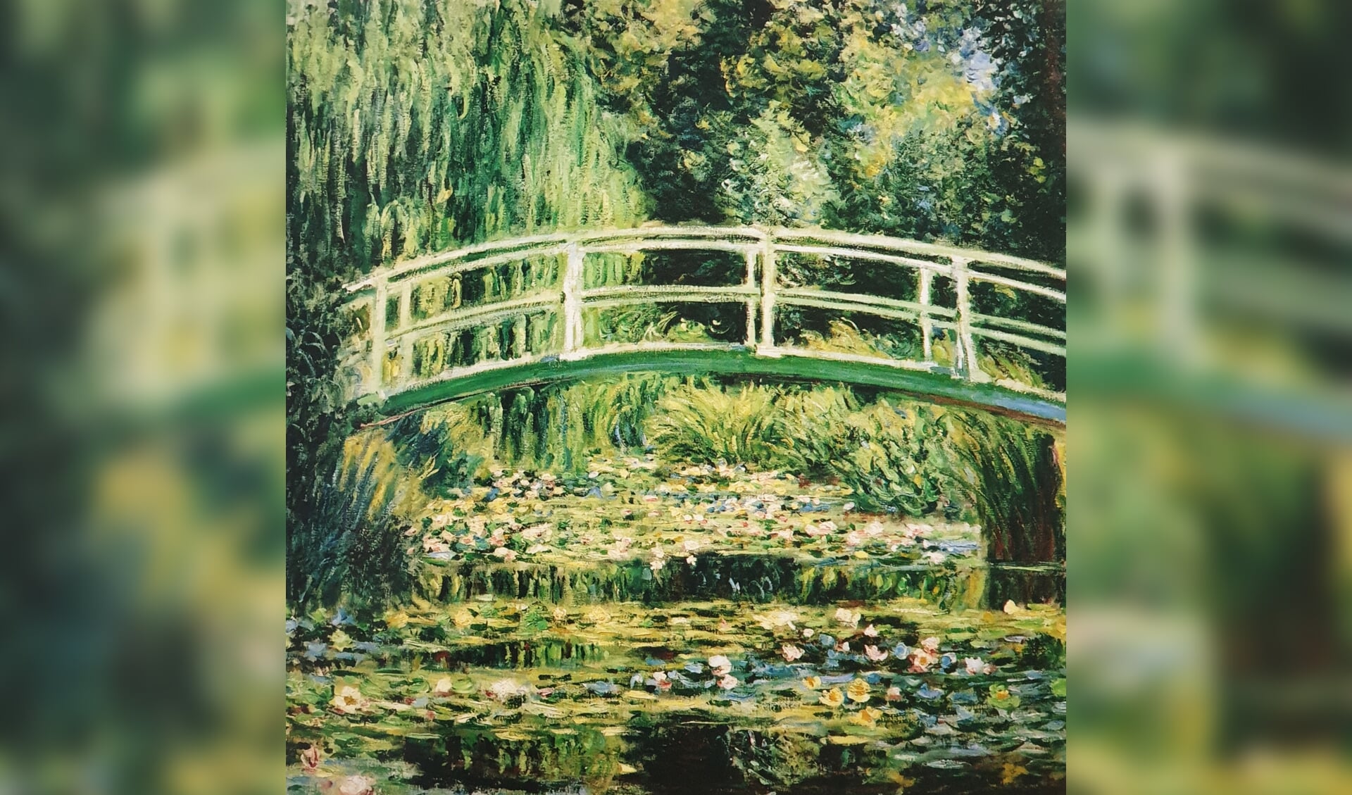 De lezing gaat over het werk van de 19e-eeuwse schilder Claude Monet.(foto: pr)