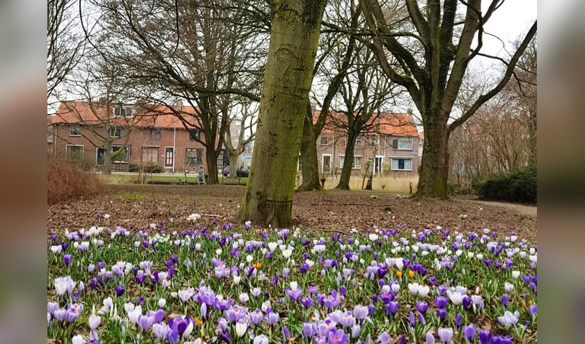 In de tuin komen zes kunstwerken die te maken hebben met de geschiedenis van Moordrecht.