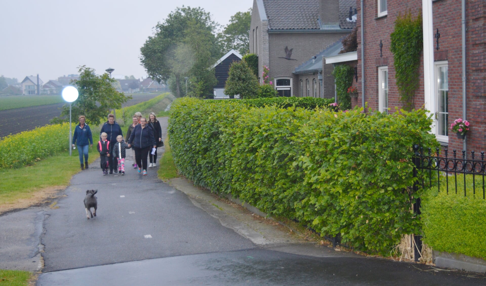Was het dauw- of regentrappen? De wandelaars liepen in groepjes de 8 kilometer lange wandeltocht.