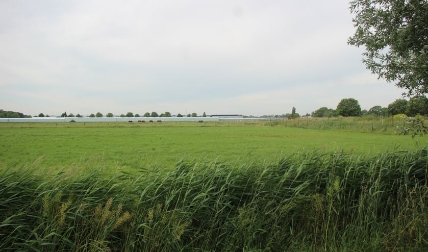 Het gebied waar de Vredenburghzone is bedacht. (Foto en tekst: Erik van Leeuwen)