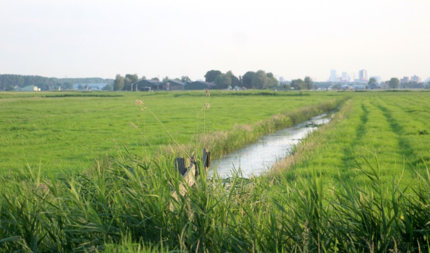 Alle raadsfracties hechten aan een groene schakel om zo het landschappelijke karakter van het nieuwe Zuidplas-dorp te behouden.