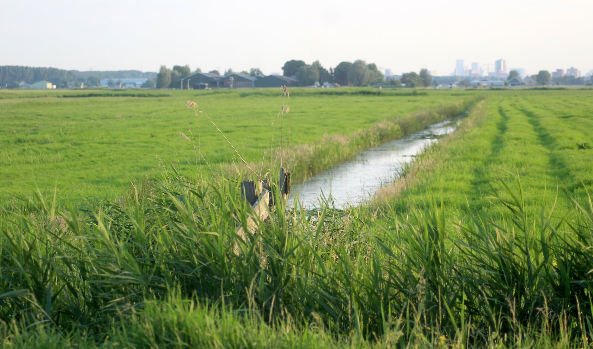 Bij de ontwikkeling van het Vijfde Dorp wordt al deels rekening gehouden met 'verdichting'.