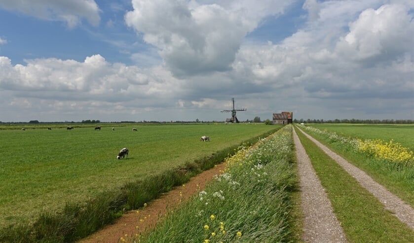 Het waterpeil wordt nu (nog) aangepast aan de agrarische functie. (foto:pr)