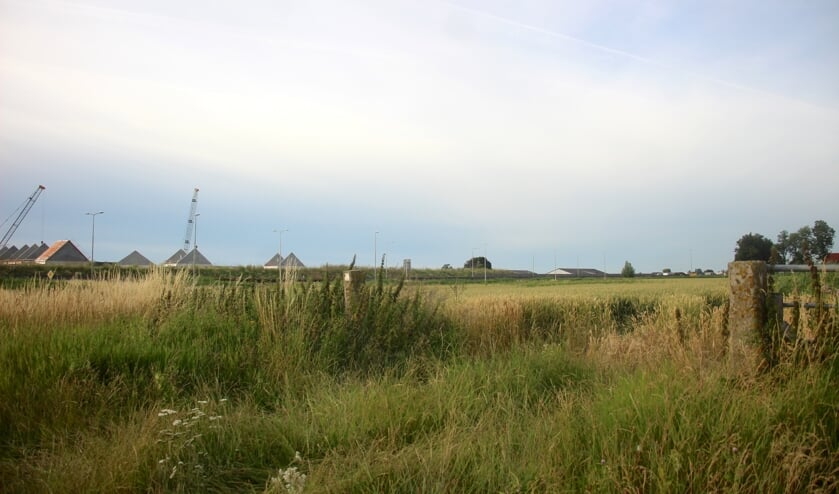 Een deel van de Zuidplaspolder nabij het Koningskwartier waar de provincie en andere partners graag woningbouw zien.