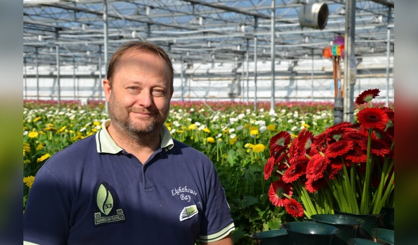 Berry den Houter in zijn kas waar duizenden gerbera's in alle kleuren groeien. (Tekst en foto: Myriam Dijck)