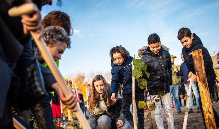 Zuidplas krijgt ook Tiny Forests (foto: pr)