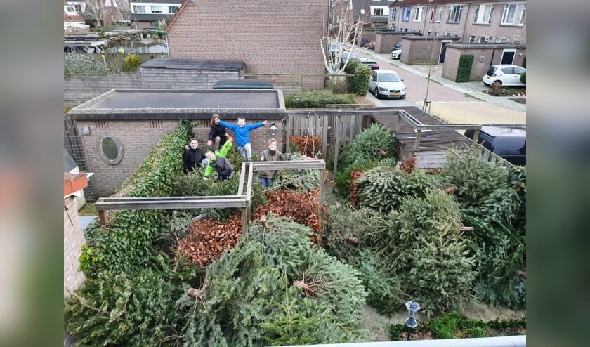 Tygo en Justin Springvloet (met felgekleurde jassen) zamelden samen met de kinderen van De Boer circa170 kerstbomen in. (foto: Jasmijn Springvloet)