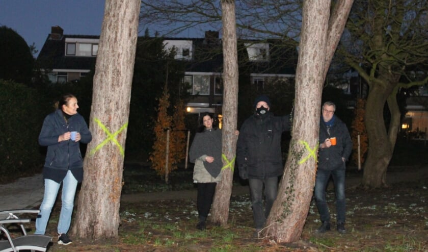 <p>De wake bij de naaldbomen in Zevenhuizen.</p>