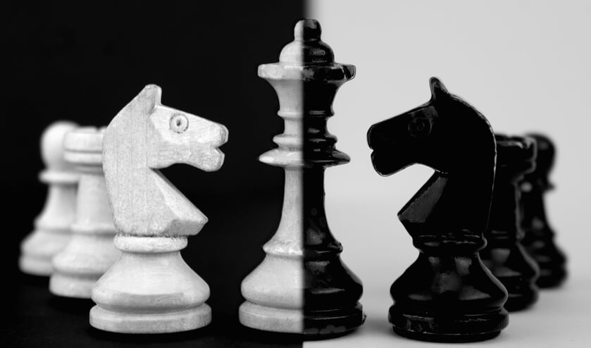 Het tweede achttal van WSV heeft Het Houten Paard verslagen. (foto: Pixabay)