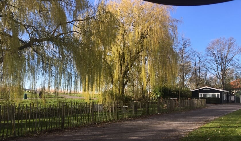 De camping van De Koornmolen gaat open, maar blijft komende week 'akelig leeg'.