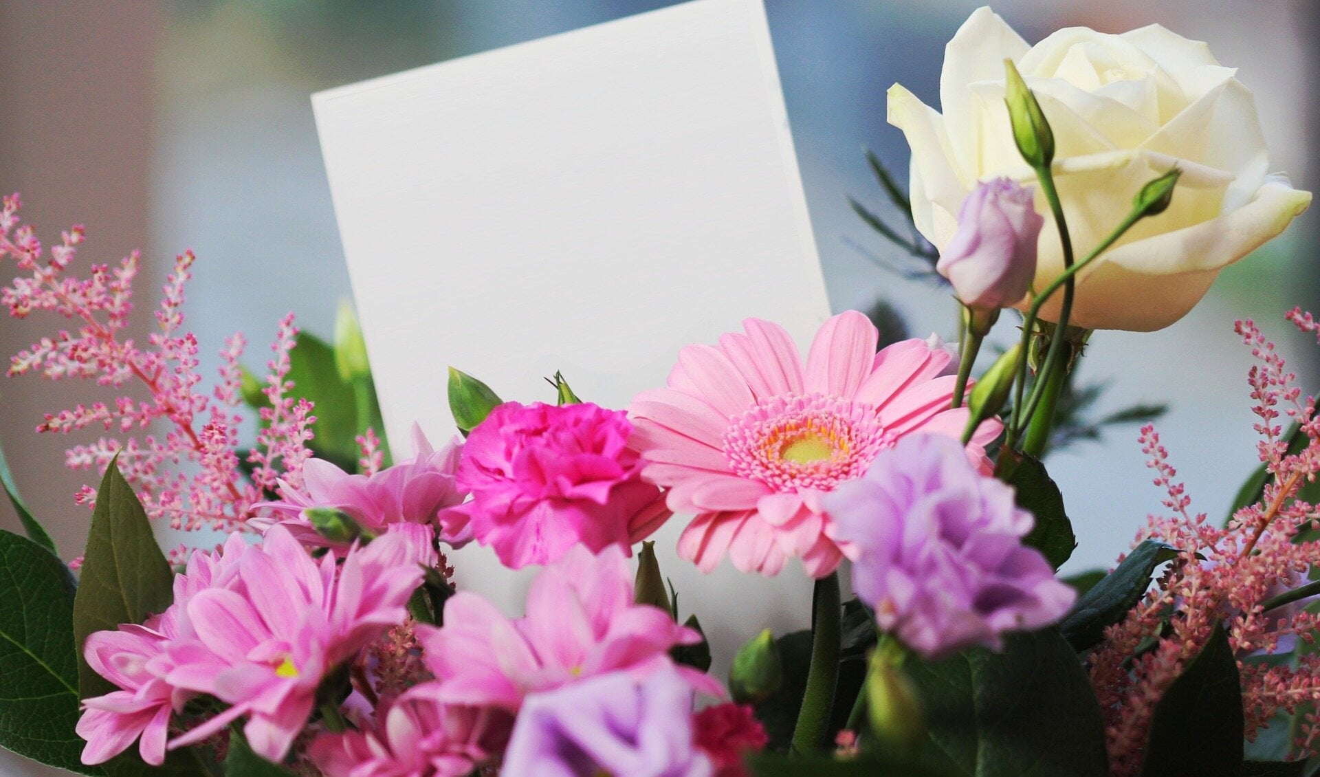 Met geld uit het Lief & Leedpotje kan een bloemetje worden gekocht.