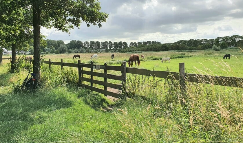 Groene verrassingen tussen Zuidplas en Rotterdam op een zondagochtendwandeling vanuit Oud Verlaat.