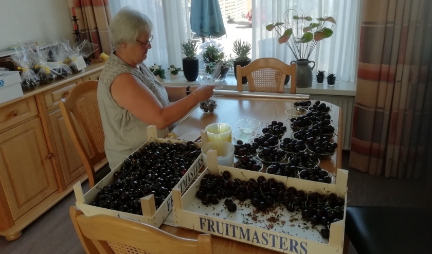 Vrijwilliger Elly van Dam bezig met het samenstellen van de kersenpakketjes.