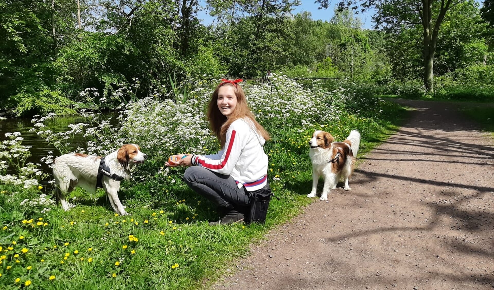 Carlijn Hoogeveen en twee van de therapiehonden die zij een keer per week ziet.