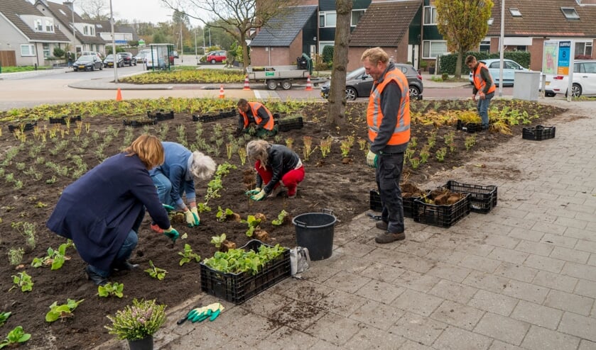 <p>Zuidplas is de bijvriendelijkste gemeente van Nederland.</p>