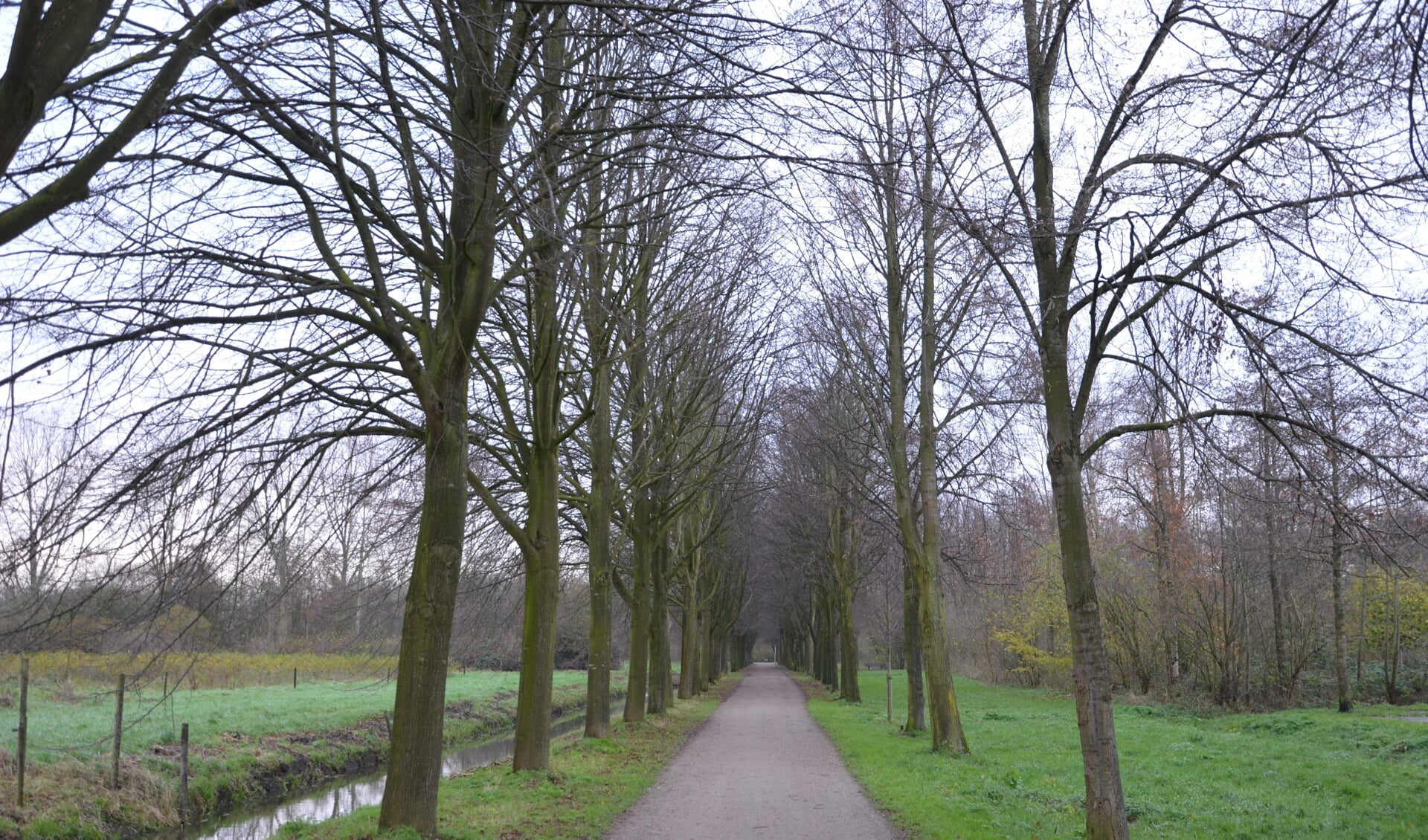 Een weg door het Gouwebos voor een betere ontsluiting van Boskoop is niet bespreekbaar in Waddinxveen.