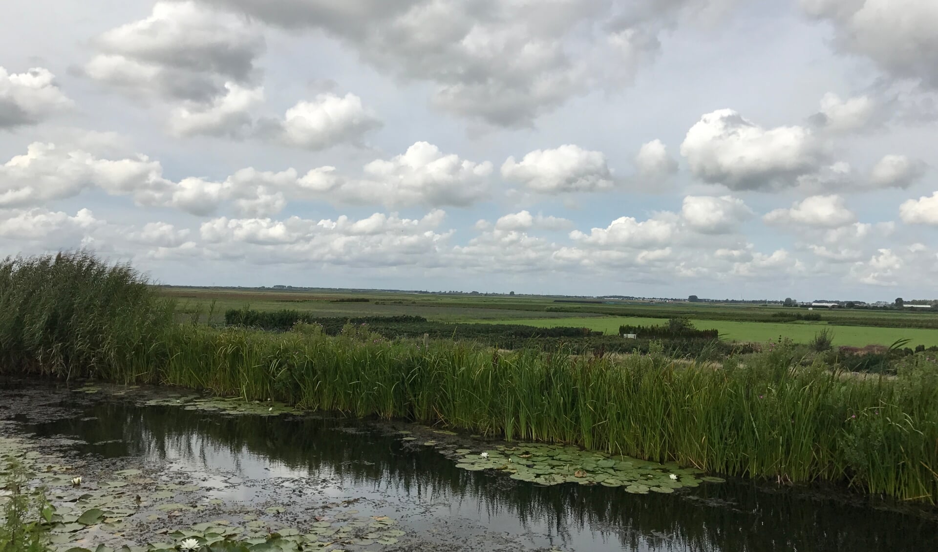 De polder die wordt doorsneden door de Verlengde Bentwoudlaan.