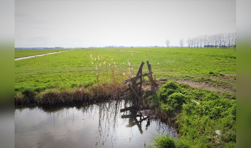 <p>De polder maakt plaats voor duizenden woningen, zo is deze maand besloten.</p>