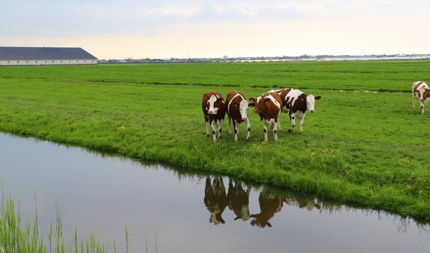 <p>De omgevingsvisie is afgelopen week vastgesteld.</p>