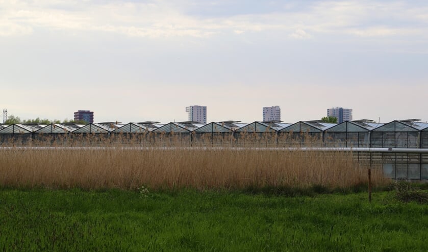 <p>De ontwikkeling van Nieuwerkerk-Noord was lange tijd onderdeel van de (geheime) besprekingen over het masterplan voor het middengebied van de Zuidplaspolder. (foto en tekst: Erik van Leeuwen)</p>