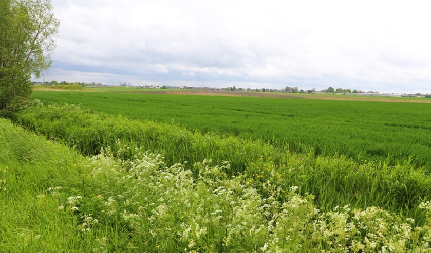 <p>Een aantal fracties vreest voor landschapsvervuiling.</p>