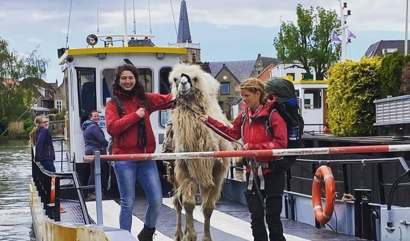 <p>Met het pontje over de Hollandsche IJssel kwamen kameel Einstein en Tamar Valkenier (rechts) naar Moordrecht.</p>