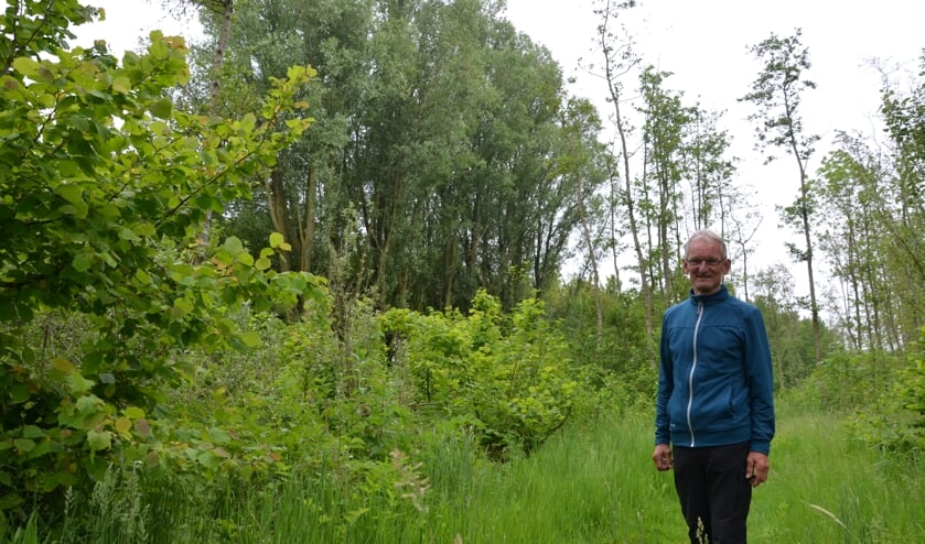 <p>Harry Ramler zet zich al twintig jaar in voor de natuurontwikkeling van het Bentwoud. Hier loopt hij door een van de oudste stukken van het bos.</p>