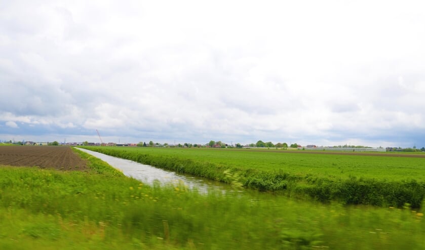 <p>Hordijk stelt dat de gemeenteraad druk heeft uitgeoefend om het plan uit te voeren.</p>