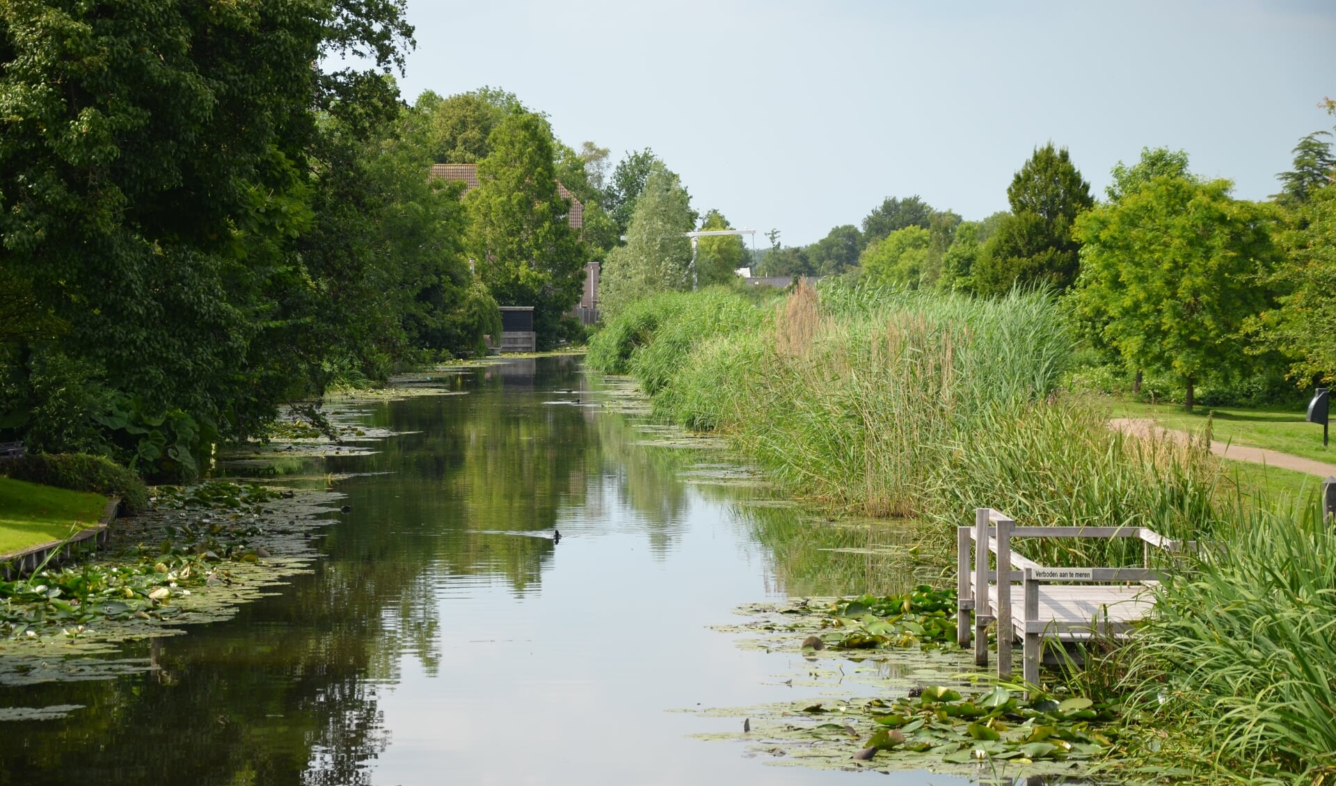 De Ringvaart moet aantrekkelijker worden voor kano’s, sloepen en kleine kajuitboten.