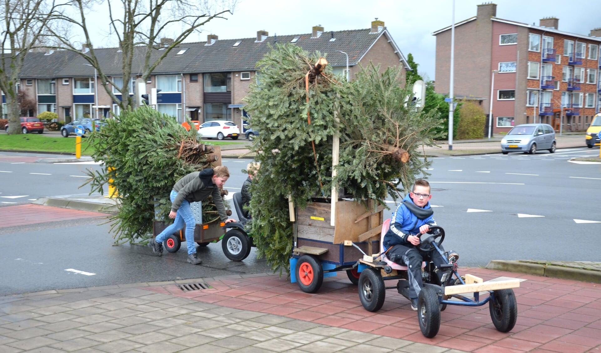 Het lukte Sven, Leon en Boas uit de Oranjewijk om 12 kerstbomen per keer naar het inzamelpunt te vervoeren. (tekst en foto: Myriam Dijck) 