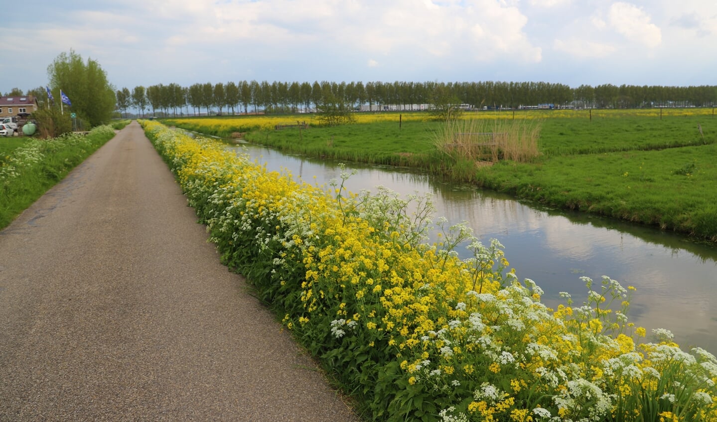 In de nu nog onbebouwde Zuidplaspolder moeten volgens Van Sandick niet alleen huizen, maar vooral gemeenschappen worden gebouwd.