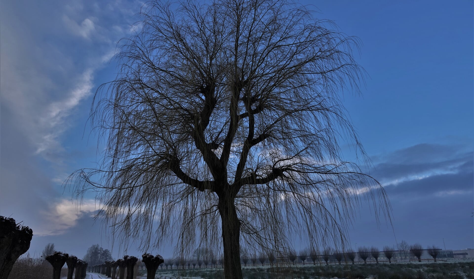 De wintervariant van 't Weegje. (Joop Neven)