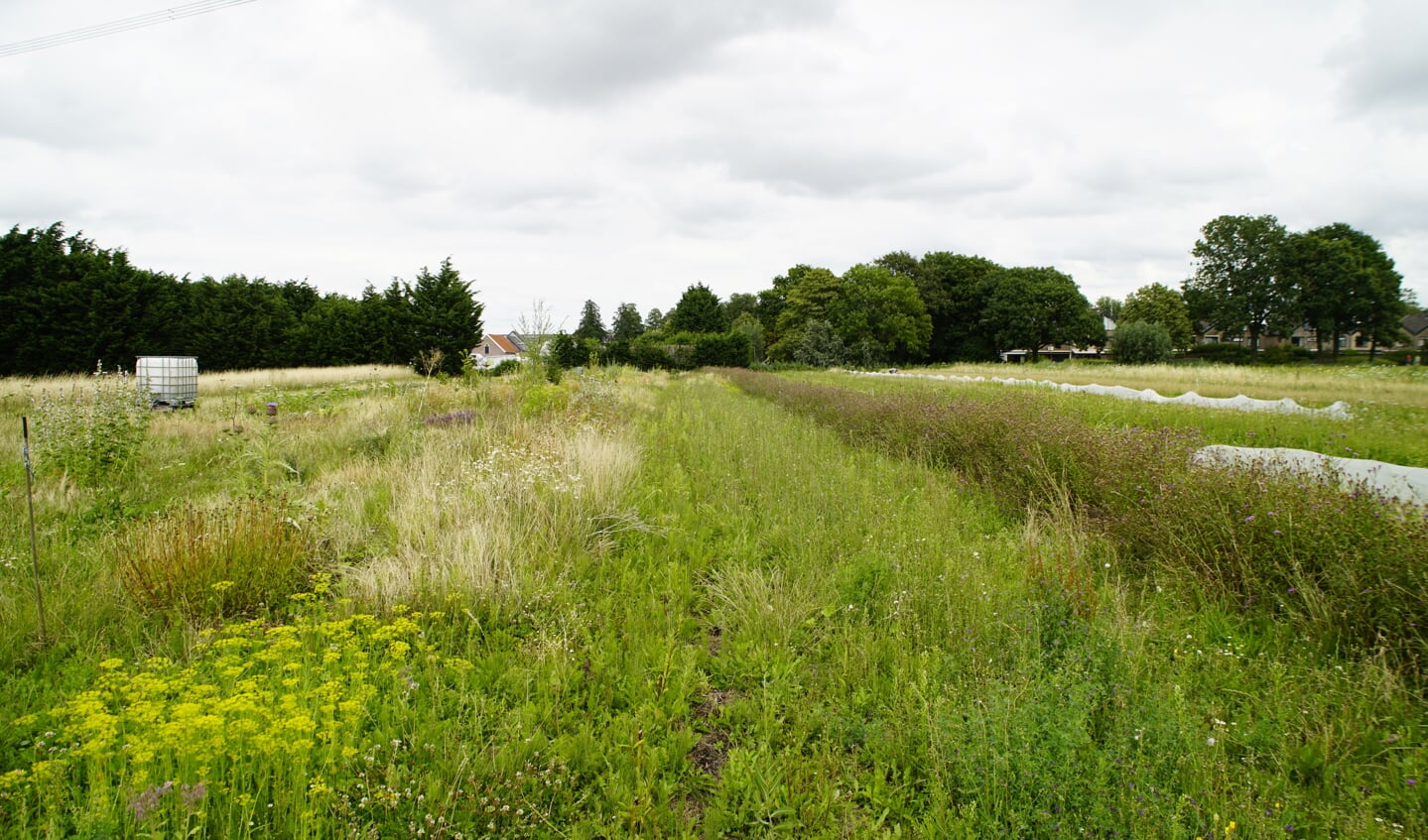Verschillende gewassen zijn zo geplant dat ze elkaar op natuurlijke wijze afwisselen.