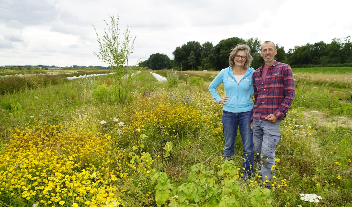 Reijnhoudt en Swinkels vol trots op de rijk gevulde akker in de Eendragtspolder.