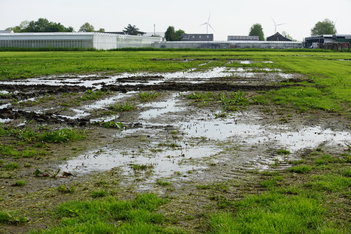 Grote plassen op het terrein waar de Autocross Zevenhuizen editie 2024 plaats zou moeten vinden. 