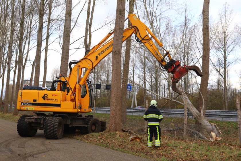 (Foto: Persburo Sander van Gils)